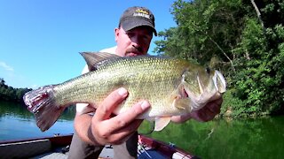 Five Fish on a Tough Lake (Blue Marsh Lake, PA)