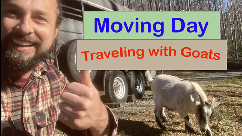 Traveling with Goats: Moving Day | Livestock Transport