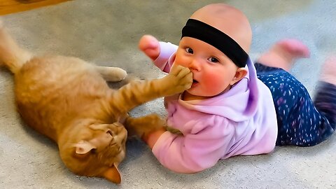 Funniest Babies - Cats are in Big Trouble With Babies || Cool Peachy