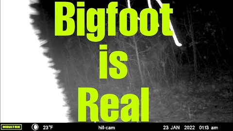 Bigfoot is Real