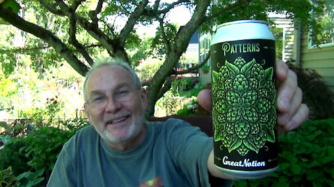 Patterns - Great Notion Brewing - Beer Review 664