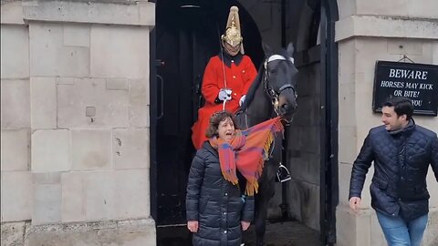 3 times the horse went for scarf #horseguardsparade