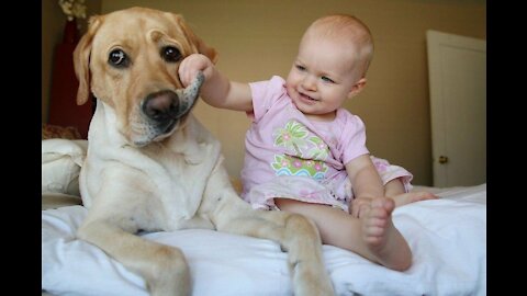 Funny animal videos with children