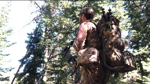 Elk archery's second weekend 2022 - Another two and a half day solo hunt