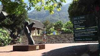 SOUTH AFRICA - Cape Town - Kirstenbosch National Botanical Garden (Video) (6sh)