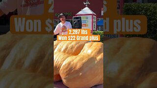 Moving Giant Pumpkins #bubba #prizewinner