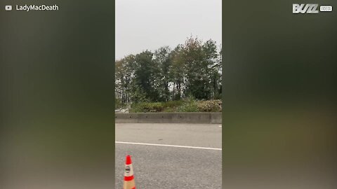 Motorista registra acidente de trem no Canadá