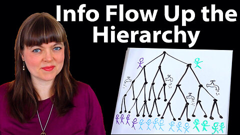 Information Flow Up Hierarchies, Distortion and Free Speech