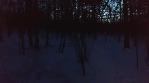 Night Squatchin Sample Part 2