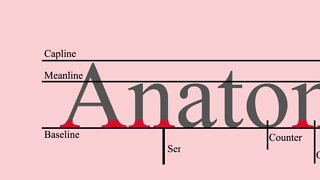 The anatomy of type