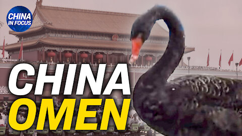 Black swan visits Beijing's Tiananmen square; Lockdown policy changes spark anger with locals