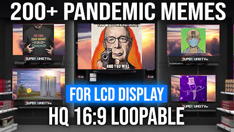 200+ Pandemic Meme Slideshow : LCD Display Ready 16:9 : Loopable / Continuous Playback