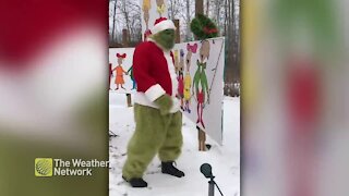 The Grinch gets into the Holiday spirit with a little dance