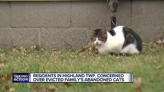 Residents in Highland Township concerned over evicted family's abandoned cats