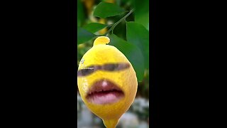 lemons