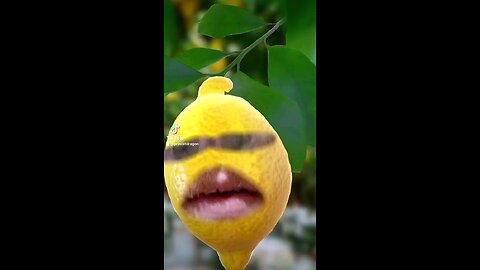 lemons