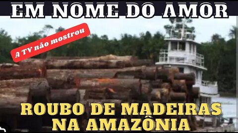 DENÚNCIA GRAVE DE ROUBO DE MADEIRA NA AMAZÔNIA
