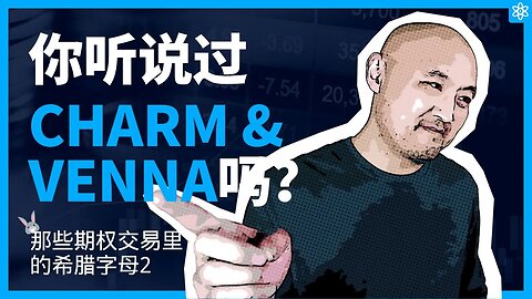 🐰你知道什么是Charm和Vanna吗？| 期权希腊字母| 怎样使用Tradytics的Vanna | Tradytics教学