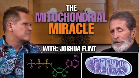 The Mitochondria Miracle With Joshua Flint