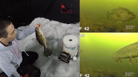 Popular Underwater Camera for Ice Fishing!