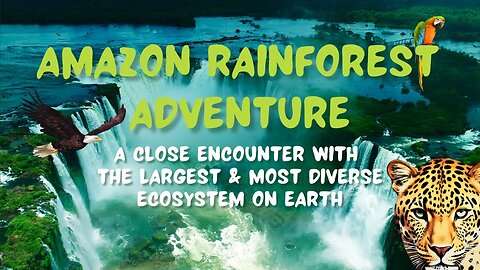 Amazon Rainforest Adventure: A Close Encounter with the Most Diverse Ecosystem on Earth