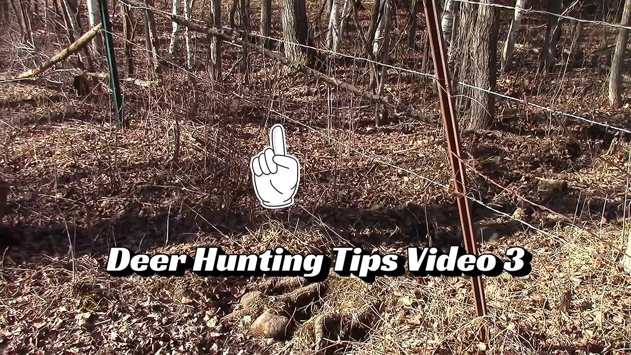 50 Amazon Gift Card Giveaway 6 Deer Hunting Tips Video 3