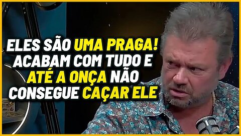 O ANIMAL MAIS PERIGOSO DO BRASIL | React Podcast Pro