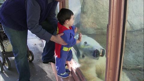 "Kid And Polar Bear BFF"
