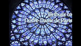 Tribute to Notre-Dame de Paris
