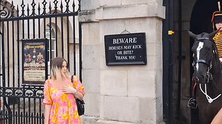 She is so scared the horse did not move and she jumps 😆 🤣 😂 #horseguardsparade