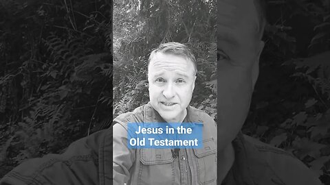 How Jesus Made It Clear He Is In The Old Testament #shorts #TheWholeBible #GeorgeCrabb