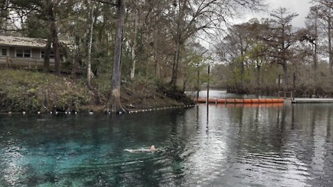 Fanning Springs State Park Part 3- Suwannee, Florida Country Xmas Trip- #4K #FYP # HDR #BlueHole