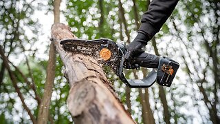 Unleash the Power of Our Most POWERFUL Compact Chainsaw - It Will Cut Through Anything! 💪