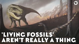 Living Fossils' Aren't Really a Thing