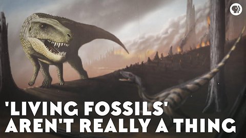 Living Fossils' Aren't Really a Thing