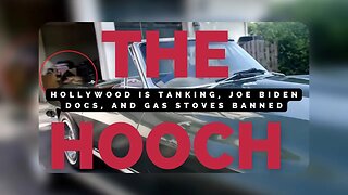 Hollywood is tanking, Joe Biden Docs, and Gas Stoves Banned | The Hooch
