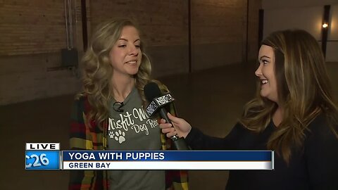 Yoga with puppies at Gather on Broadway