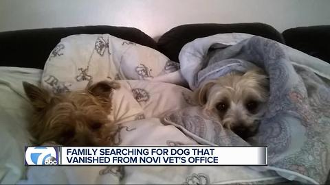 Family searching for dog that vanished from Novi vet's office