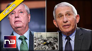 Lindsey Graham Goes OFF on Dr. Fauci after he REFUSES to Condemn the Crisis at the Border