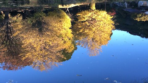 Water mirror