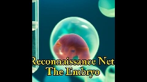 The Reconnaissance Network: The Embryo