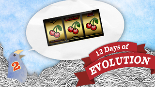 Is Evolution Random? - 12 Days of Evolution #2