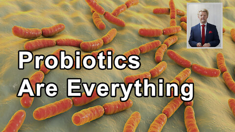 Why Probiotics Are Everything - Brian Clement, PhD