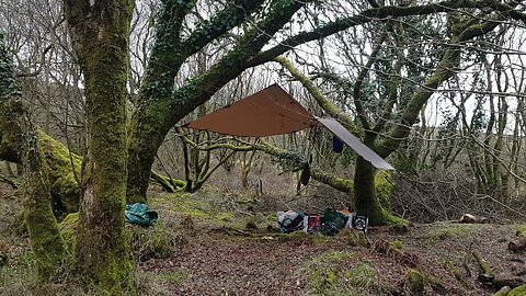 DD hammocks 3x3 tarp. South of Dartmoor 26th March 2023