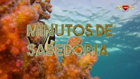 O Amor e a Alegria - Minutos de Sabedoria #11