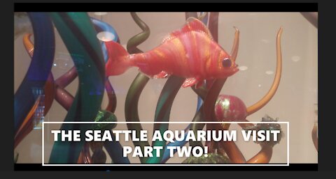 🐙 MY VISIT TO THE SEATTLE AQUARIUM PART TWO 🐠