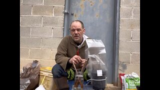 Two Methods to start Elderberry Cuttings