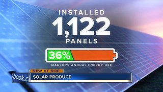 Solar produce generates energy savings for Milwaukee company