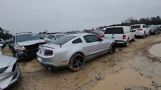 Mustangs and More Mustangs, BMW X5M, Porsche and More. Copart Walk Around