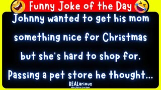 Daily Joke of the Day - Funny Short Joke